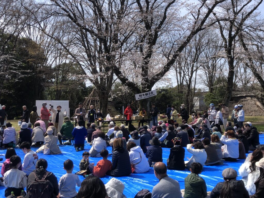 桜を見る会 画像