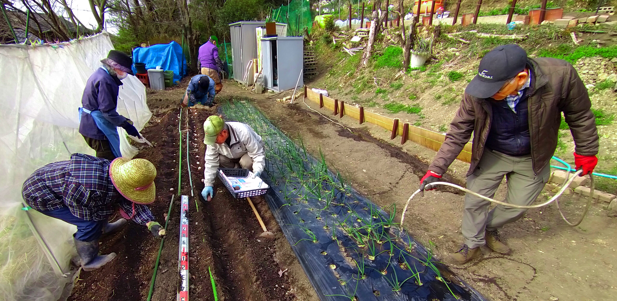 ささえあい畑・フードバンク 画像